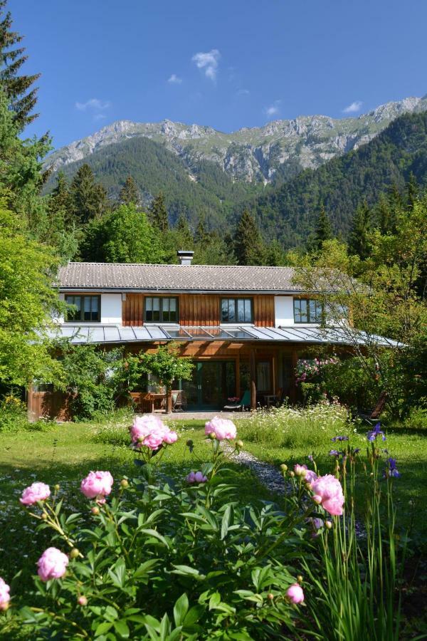 Petra Maria Sölle - Ferienhaus sehr privat Presseggersee Exteriör bild